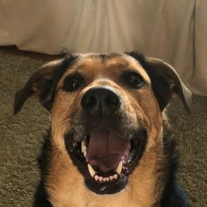 Meet your Posher, Shawna